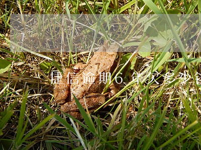 捷信逾期6年欠多少钱 捷信逾期6年欠多少钱