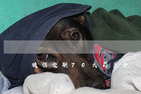 捷信逾期70天罚多少 捷信逾期70天罚多少