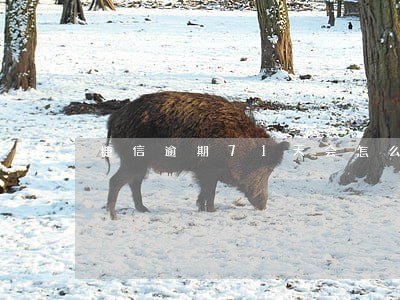 捷信逾期71天会怎么样 捷信逾期71天会怎么样