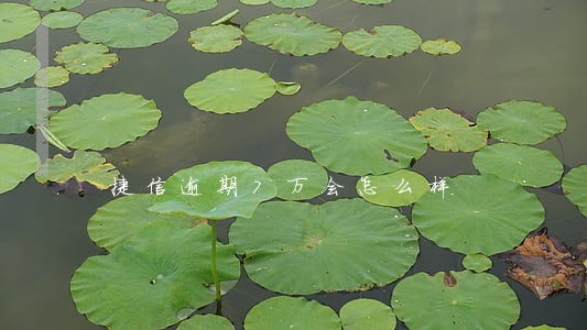捷信逾期7万会怎么样 捷信逾期7万会怎么样