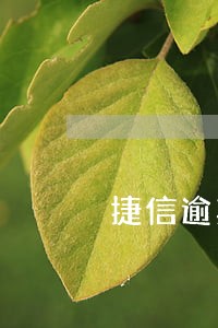 捷信逾期7个月还能贷款吗 捷信逾期7个月还能贷款吗