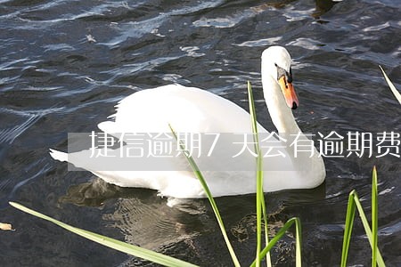 捷信逾期7天会有逾期费用么 捷信逾期7天会有逾期费用么