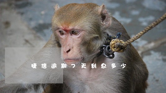 捷信逾期7天利息多少 捷信逾期7天利息多少