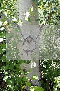 捷信逾期7天怎么还 捷信逾期7天怎么还