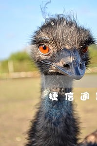 捷信逾期7天还款怎么不扣款 捷信逾期7天还款怎么不扣款