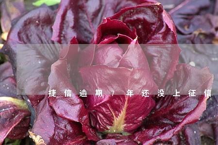 捷信逾期7年还没上征信 捷信逾期7年还没上征信