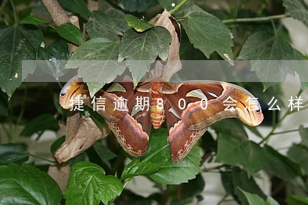 捷信逾期800会怎么样 捷信逾期800会怎么样