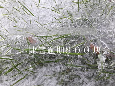 捷信逾期800块会上门吗 捷信逾期800块会上门吗
