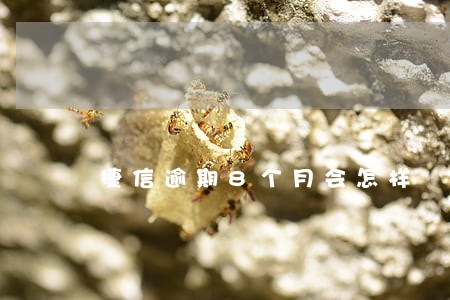 捷信逾期8个月会怎样 捷信逾期8个月会怎样