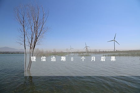 捷信逾期8个月后果 捷信逾期8个月后果