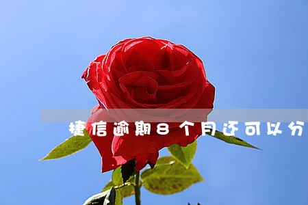 捷信逾期8个月还可以分期付款吗 捷信逾期8个月还可以分期付款吗