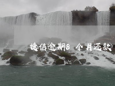 捷信逾期8个月还款 捷信逾期8个月还款