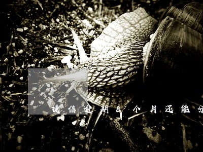 捷信逾期8个月还能分期买车吗 捷信逾期8个月还能分期买车吗