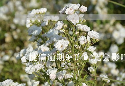 捷信逾期900元会影响房贷吗 捷信逾期900元会影响房贷吗
