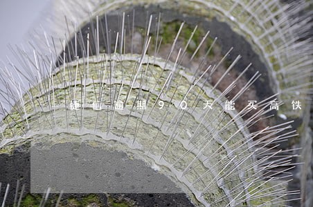捷信逾期90天能买高铁票吗