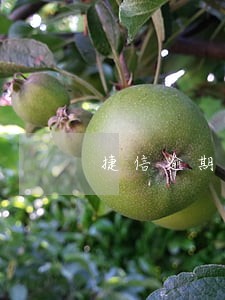捷信逾期一个月会影响信用 捷信逾期一个月会影响信用
