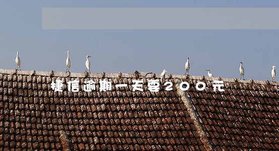 捷信逾期一天要200元 捷信逾期一天要200元