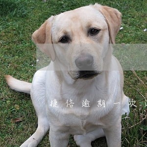 捷信逾期一次还能贷款么 捷信逾期一次还能贷款么