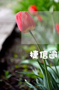 捷信逾期三个月1400征信 捷信逾期三个月1400征信