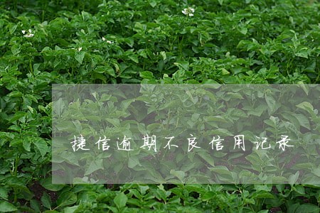 捷信逾期不良信用记录