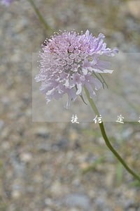 捷信逾期两天就要交50呢 捷信逾期两天就要交50呢