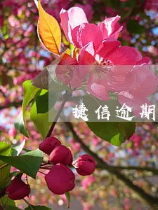 捷信逾期两年没还能办信用卡吗 捷信逾期两年没还能办信用卡吗