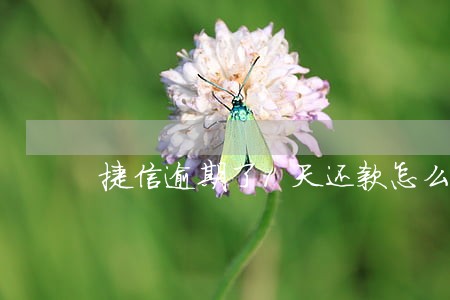 捷信逾期了1天还款怎么办 捷信逾期了1天还款怎么办