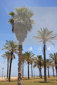 捷信逾期了2万多 捷信逾期了2万多