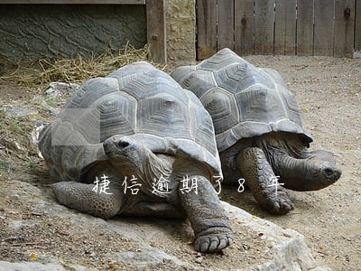 捷信逾期了8年 捷信逾期了8年