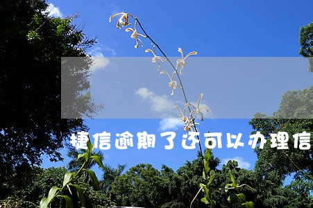 捷信逾期了还可以办理信用卡吗 捷信逾期了还可以办理信用卡吗