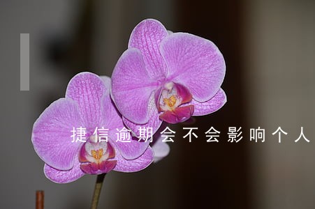 捷信逾期会不会影响个人信用 捷信逾期会不会影响个人信用