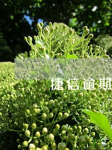 捷信逾期信用卡会