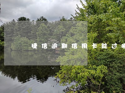 捷信逾期信用卡能过嘛