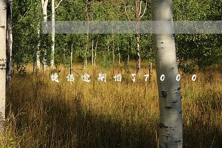 捷信逾期借了7000 捷信逾期借了7000
