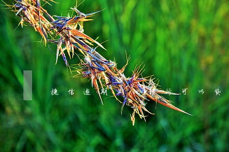 捷信逾期其他银行可以贷款不