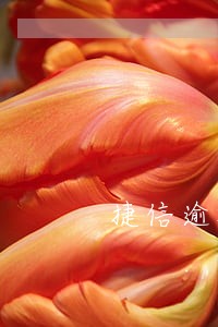 捷信逾期冻结银行信用卡 捷信逾期冻结银行信用卡