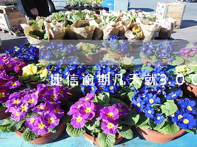 捷信逾期几天就300多 捷信逾期几天就300多