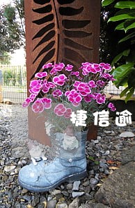 捷信逾期几次买房子贷款 捷信逾期几次买房子贷款