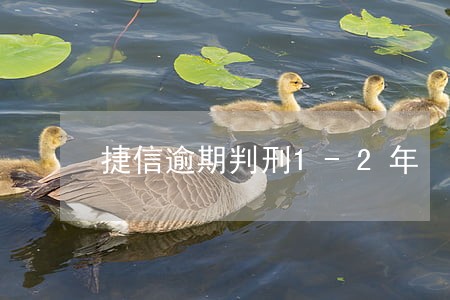 捷信逾期判刑1-2年 捷信逾期判刑1-2年