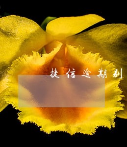 捷信逾期别的网贷可以用吗 捷信逾期别的网贷可以用吗