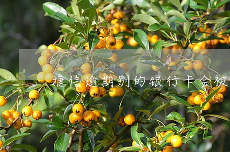 捷信逾期别的银行卡会被冻结吗 捷信逾期别的银行卡会被冻结吗