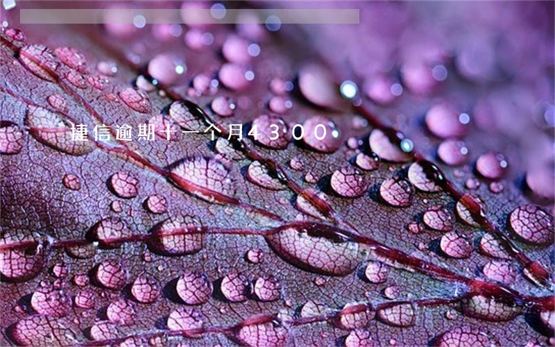 捷信逾期十一个月4300