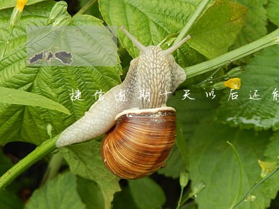 捷信逾期十天以后还能贷款吗 捷信逾期十天以后还能贷款吗