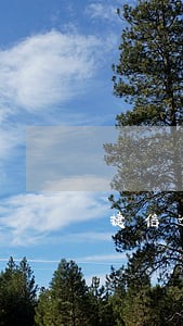 捷信逾期可以办贷款吗 捷信逾期可以办贷款吗