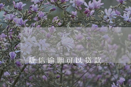 捷信逾期可以贷款 捷信逾期可以贷款