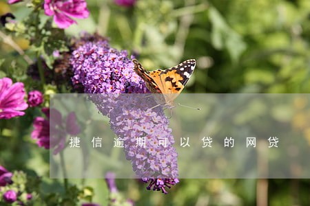 捷信逾期可以贷的网贷 捷信逾期可以贷的网贷