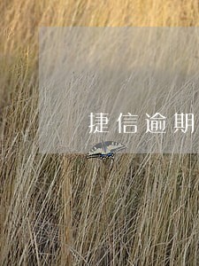 捷信逾期同意只还本金可以吗 捷信逾期同意只还本金可以吗