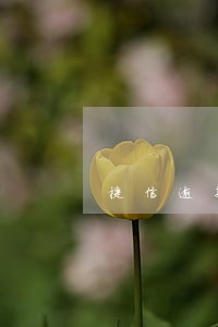 捷信逾期后可以用其他网贷吗 捷信逾期后可以用其他网贷吗
