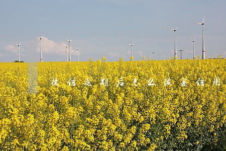 捷信逾期后怎么恢复信用额度 捷信逾期后怎么恢复信用额度
