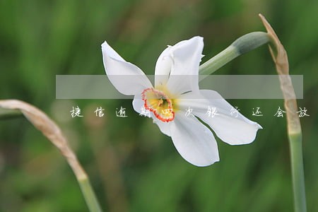 捷信逾期四次银行还会放贷吗 捷信逾期四次银行还会放贷吗